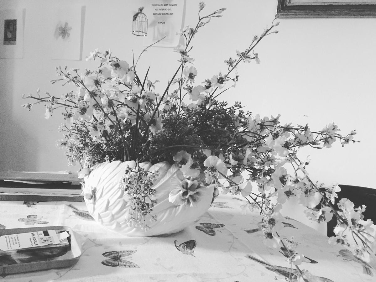 Bed And Breakfast San Michele Pisa Buitenkant foto